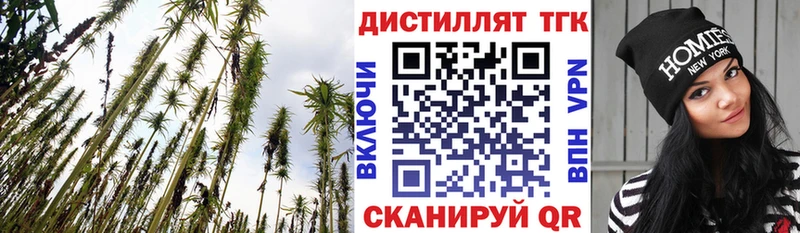 хочу наркоту  Ноябрьск  ТГК жижа 