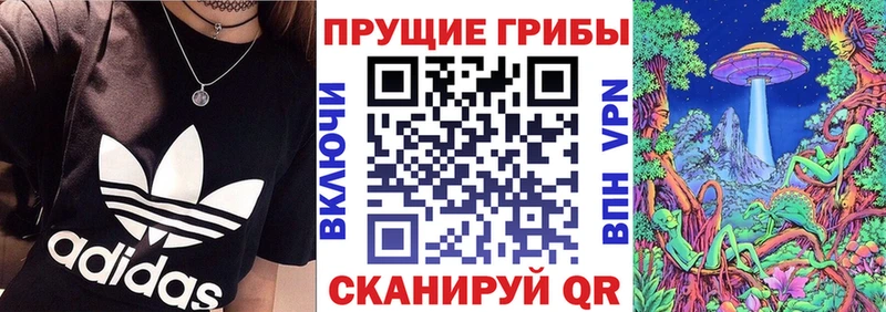 MEGA онион  Ноябрьск  Псилоцибиновые грибы прущие грибы 
